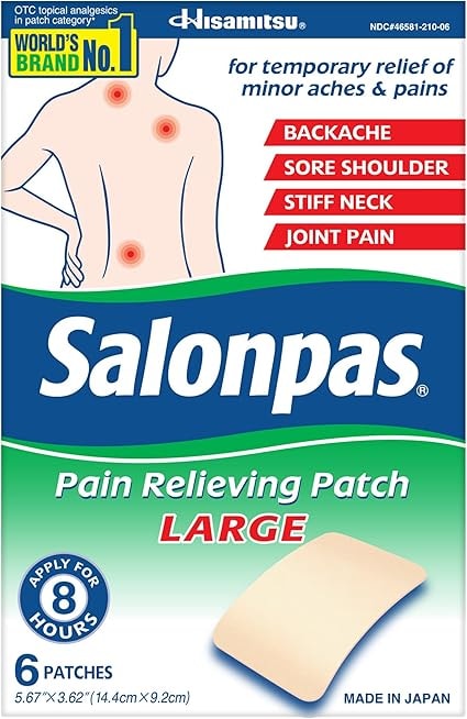 Salonpas Large Pain Relieving Patch - 6 Count