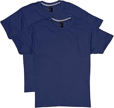 Hanes Men's 2-Pack X-Temp Performance T-Shirt
