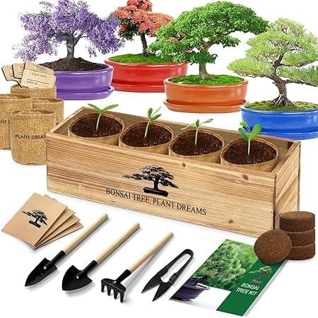 LUOJIBIE Bonsai Tree Starter Kit with Seeds and Tools
