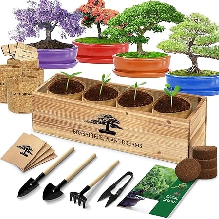 LUOJIBIE Bonsai Tree Starter Kit with Seeds and Tools