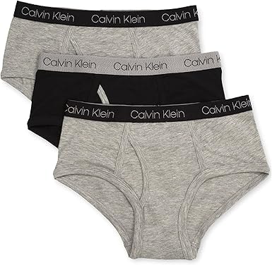 Calvin Klein Boys' Modern Cotton Briefs Underwear (3 Pack)