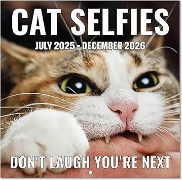 Feteulo Funny Cats Wall Calendar 2025-2026